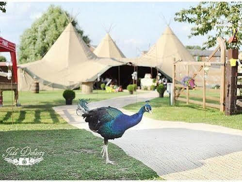 Skipbridge Farm Shepherds Huts Campground Green Hammerton Экстерьер фото