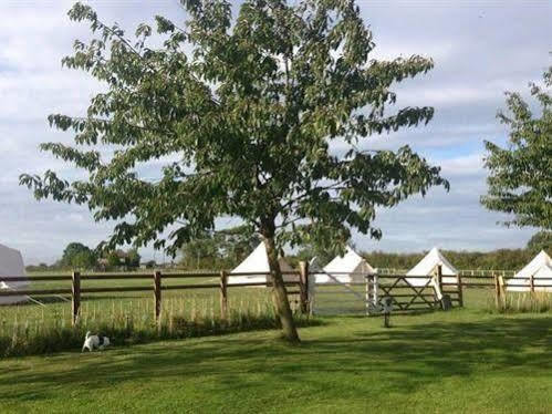 Skipbridge Farm Shepherds Huts Campground Green Hammerton Экстерьер фото